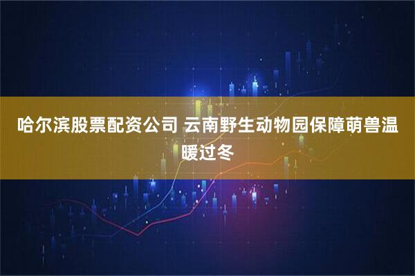 哈尔滨股票配资公司 云南野生动物园保障萌兽温暖过冬